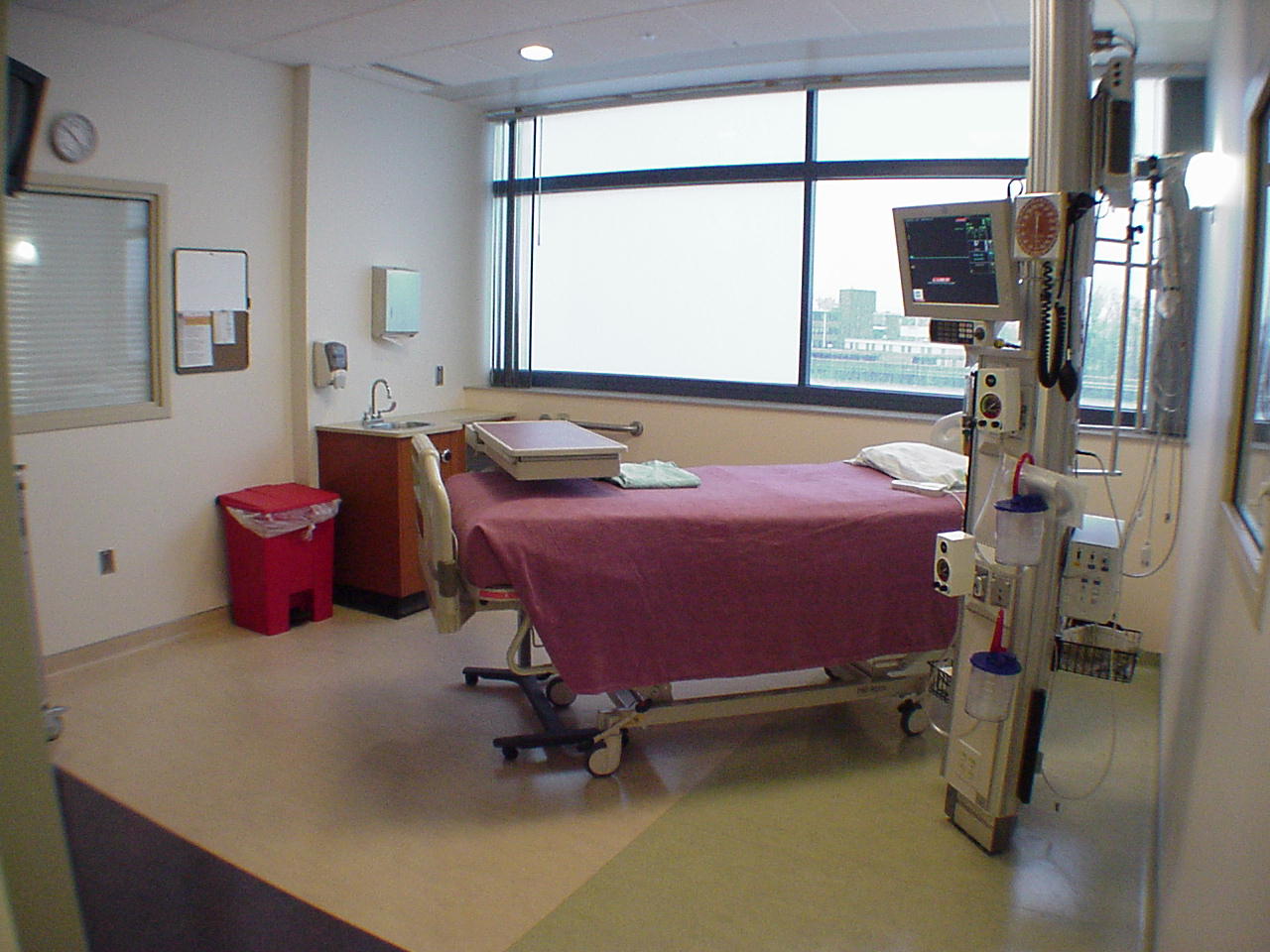 International Success Stories